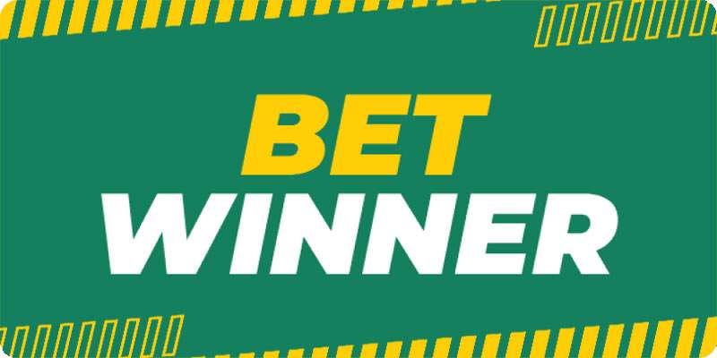 Experience Luxury and Comfort with Bed Winner