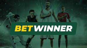 Discover the Thrills of BetWinner Casino Your Ultimate Gaming Destination
