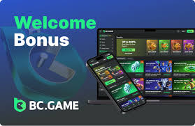 The Rise of Crypto Casinos Exploring BC.Game