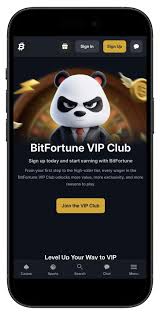 Bitfortune The Ultimate Mobile Experience for Users
