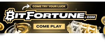 The Ultimate Guide to Bitcoin Live Betting Strategies and Tips